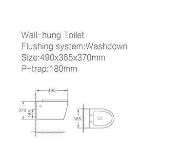 Matt black color wall hung toilet