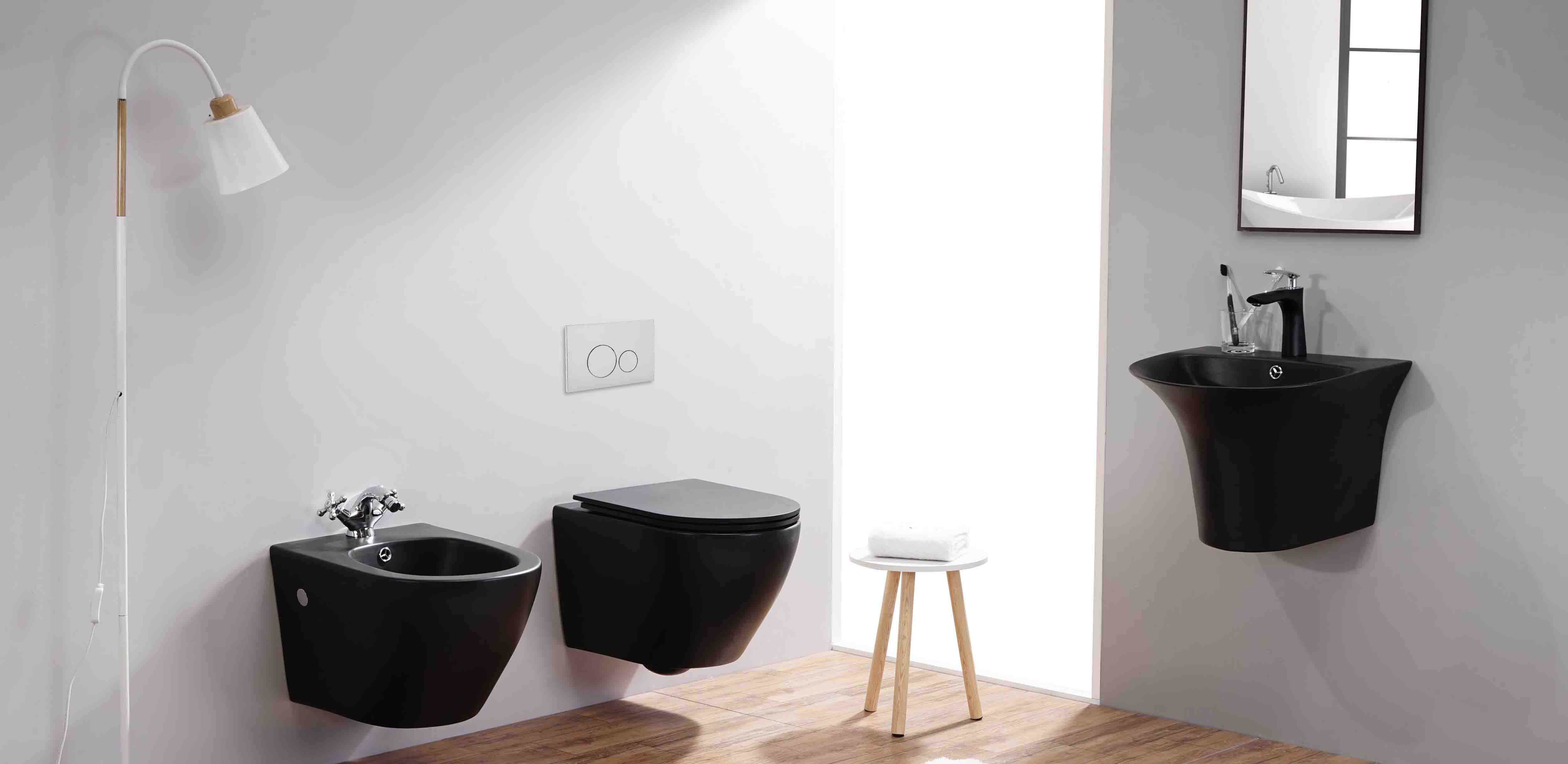 professional produce matt black wall mounted toielt and bidet factory